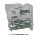Kapupánt csavar DIN 603, 4.8 galvanikusan horganyzott, M8x35 (10 db)